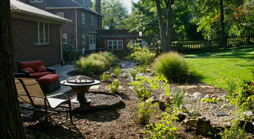 rain-garden-st-louis