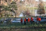 Forest Park Landscaping Work