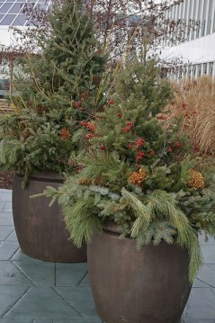 Holiday Container