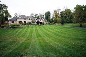 best lawn mowing company st louis