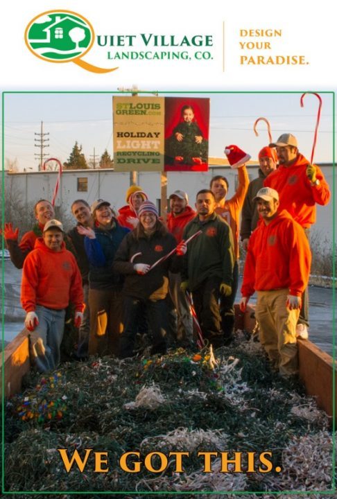 sorting holiday lights for st. louis green, Quiet Village Landscaping's got this